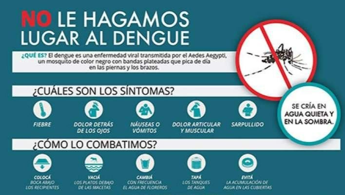 Confirman siete casos de dengue en Junín y llaman a los vecinos a