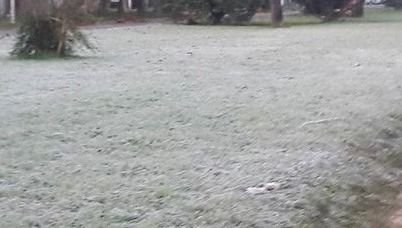 Lunes con temperaturas bajo cero y cielo algo nublado así estará el